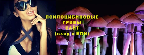 гашиш Богородск