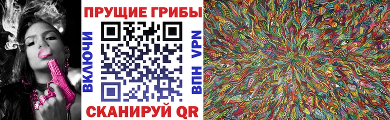 где купить наркотик  Волгореченск  Псилоцибиновые грибы мухоморы 